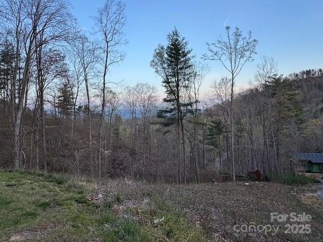 Property image 3 of 33 Bent Branch Lane in Ventana, Asheville, NC 28804