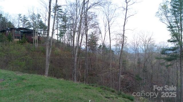 Property image 4 of 33 Bent Branch Lane in Ventana, Asheville, NC 28804