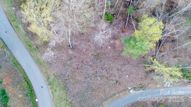 Property image 5 of 33 Bent Branch Lane in Ventana, Asheville, NC 28804