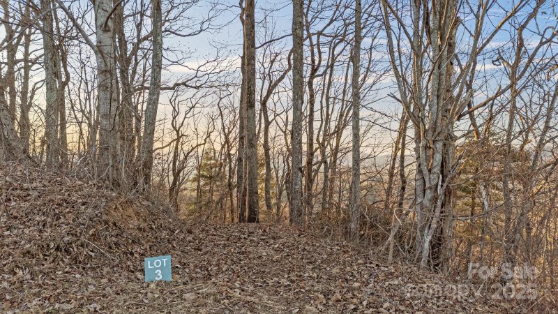 Property image 3 at Tbd Eagles Eye Drive, Hendersonville, NC 28792