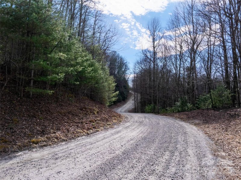 Property image 5 of Lot 56 Big Branch Road in Big Hill, Brevard, NC 28712