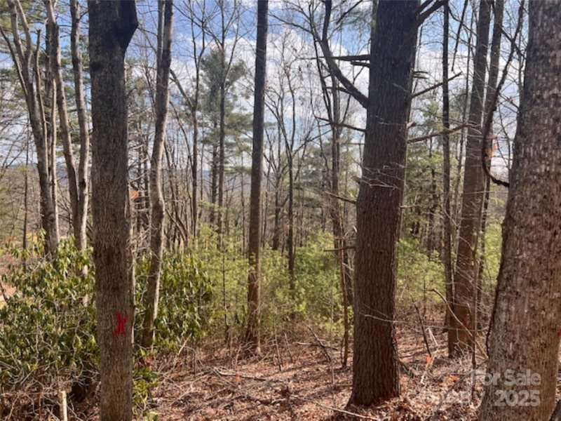 Property image 2 at 121 Bobby Jones Drive, Hendersonville, NC 28739