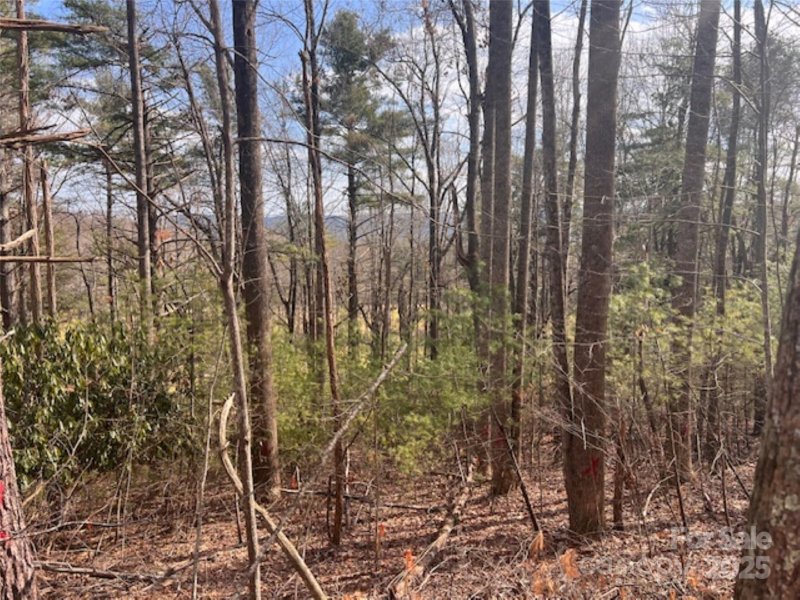 Property image 3 at 121 Bobby Jones Drive, Hendersonville, NC 28739