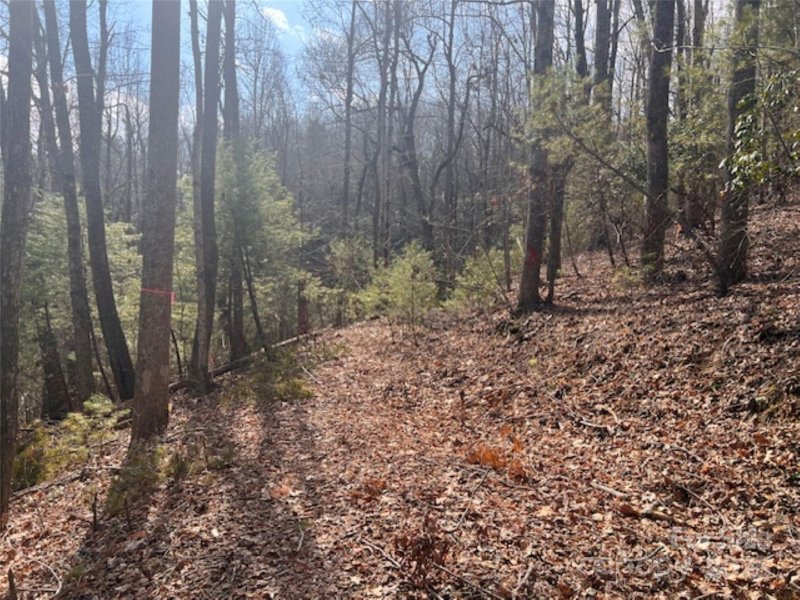 Property image 4 at 121 Bobby Jones Drive, Hendersonville, NC 28739