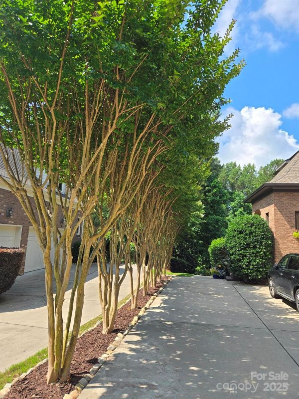 Property image 5 of 16824 Ashton Oaks Drive in The Palisades, Charlotte, NC 28278