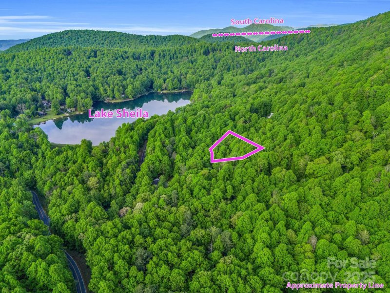 Property image 2 of 87 Pole Cat Road in Lake Sheila, Saluda, NC 28773