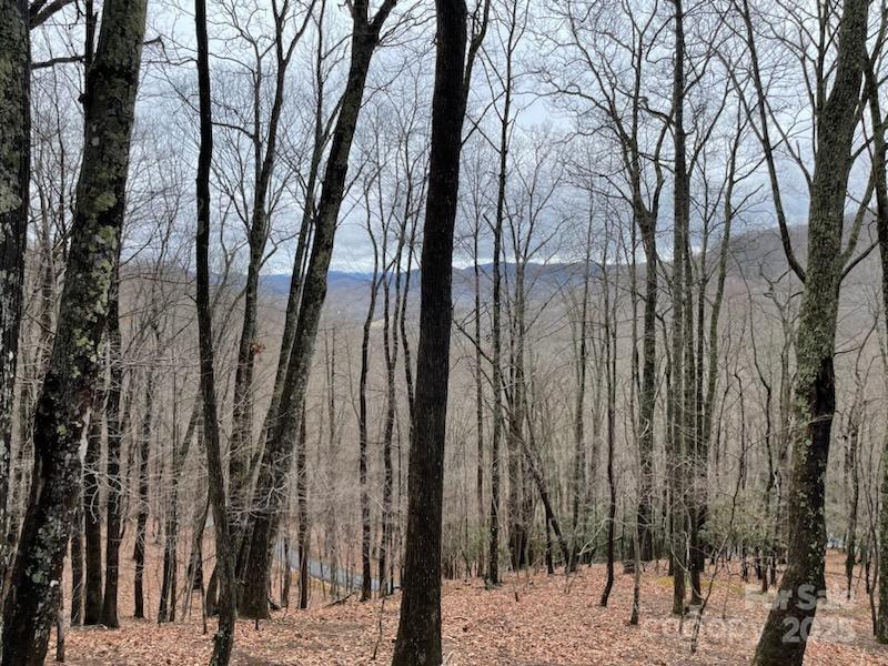 Property image 2 of 12 Hickory Springs Road in The Cove at Celo Mountain, Burnsville, NC 28714