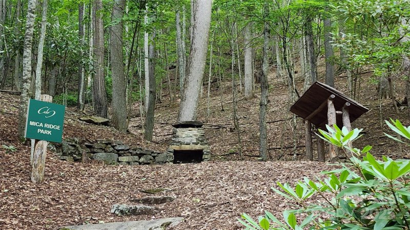 Property image 3 of 12 Hickory Springs Road in The Cove at Celo Mountain, Burnsville, NC 28714