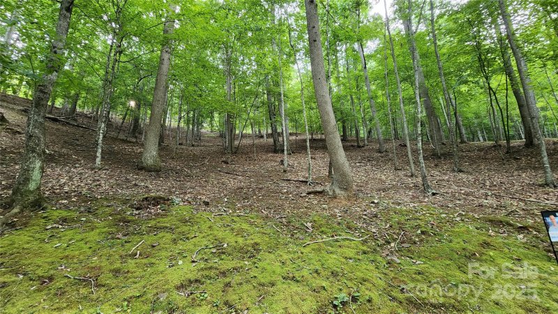 Property image 4 of 12 Hickory Springs Road in The Cove at Celo Mountain, Burnsville, NC 28714