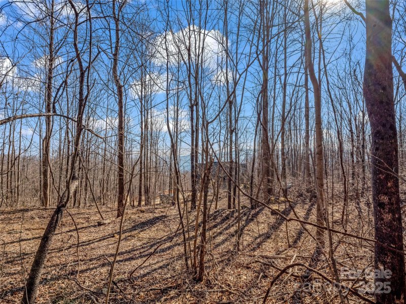 Property image 4 of 203 Cherry Hill Lane in Brights Creek, Mill Spring, NC 28756