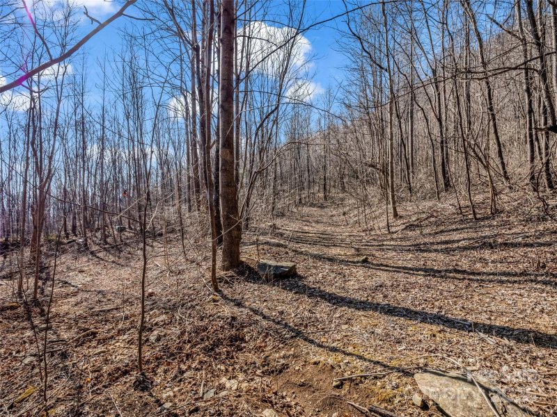 Property image 5 of 203 Cherry Hill Lane in Brights Creek, Mill Spring, NC 28756
