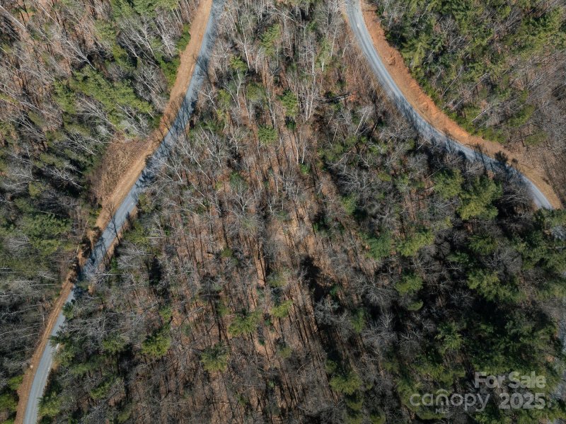 Property image 3 of 761 High Trail Drive in The Arbor at Lake James, Nebo, NC 28761