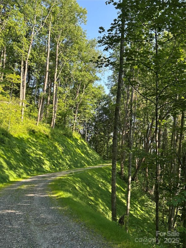 Property image 3 of 1414 Easy Wind Drive in High Hickory, Swannanoa, NC 28778