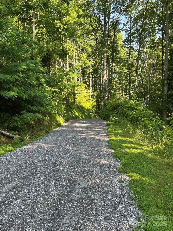 Property image 4 of 1414 Easy Wind Drive in High Hickory, Swannanoa, NC 28778