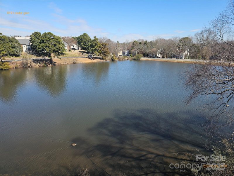 Property image 5 at 8191 Cedar Glen Drive, Charlotte, NC 28212