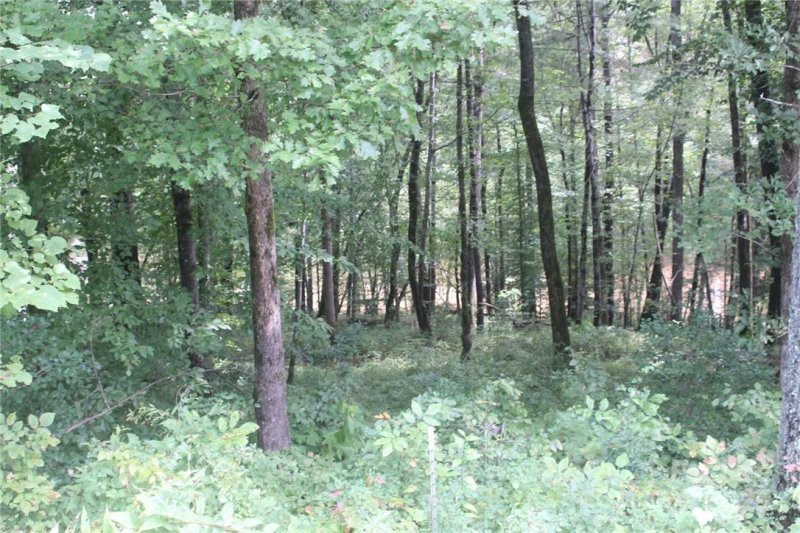 Property image 4 at 330 E Settings Boulevard, Valdese, NC 28690