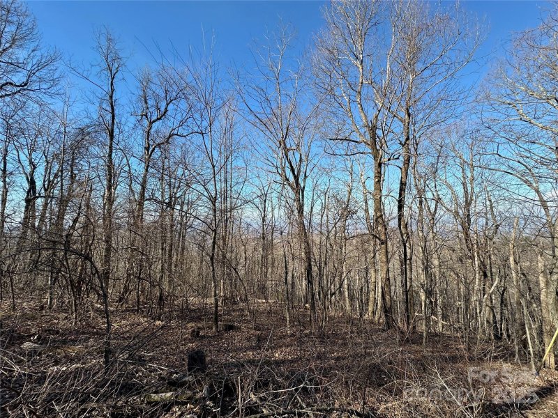 Property image 4 at 7093 7111 Silver Creek Lane, Morganton, NC 28655