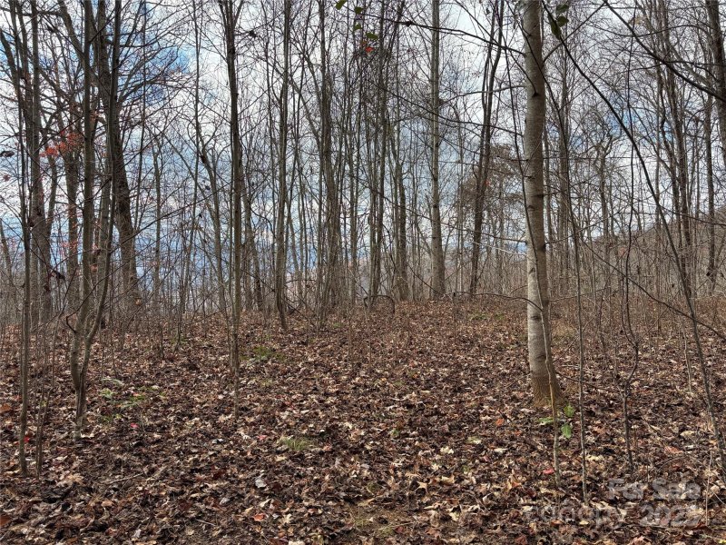 Property image 2 of Lot 64 Grizzly Ridge in Brush Creek Properties, Bryson City, NC 28713