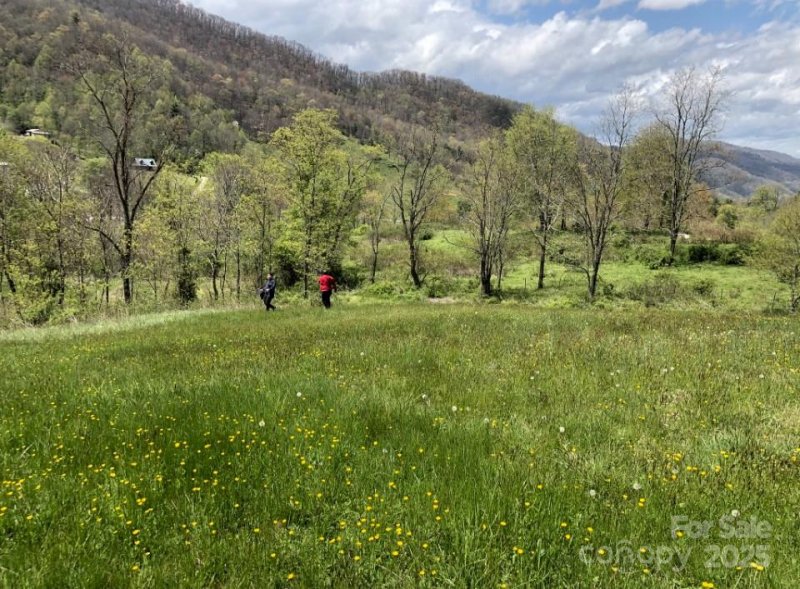 Property image 2 at 295 Split Pine Cove, Clyde, NC 28721