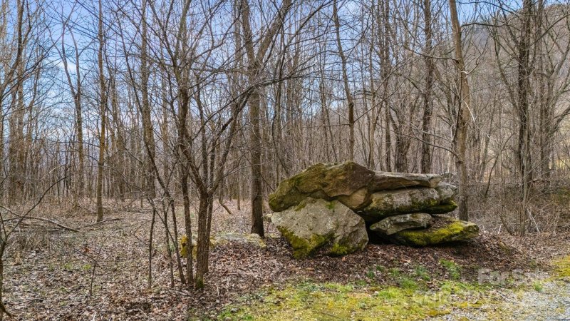 Tbd Spotted Fawn Lane