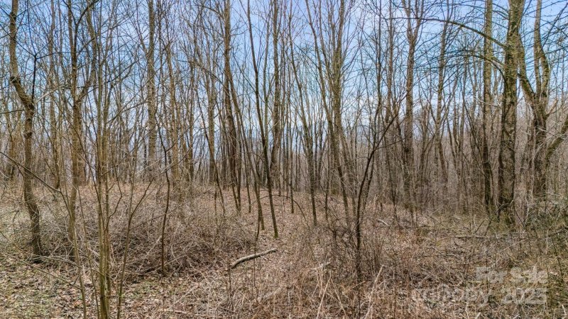 Property image 3 of Tbd Spotted Fawn Lane in The Willows, Waynesville, NC 28785