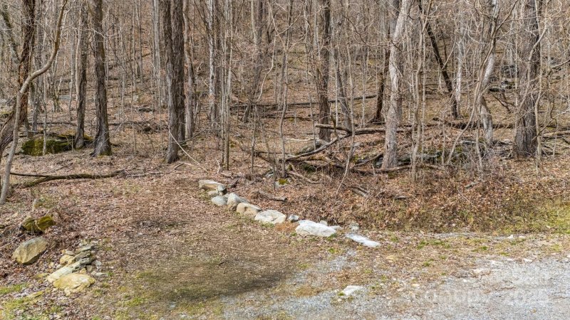 Property image 2 at Tbd Live Oak Loop, Waynesville, NC 28785