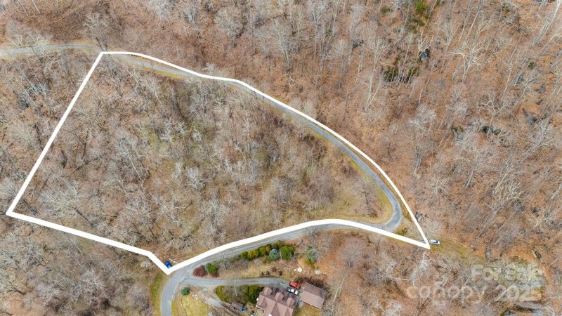 Property image 3 at Tbd Live Oak Loop, Waynesville, NC 28785