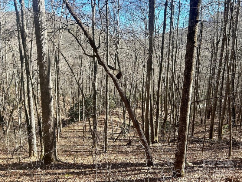 Property image 2 of 0 Deep Gap View in Coppermine Ridge, Whittier, NC 28789