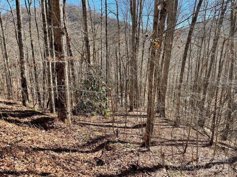 Property image 3 of 0 Deep Gap View in Coppermine Ridge, Whittier, NC 28789