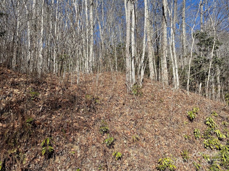 Property image 5 of 0 Deep Gap View in Coppermine Ridge, Whittier, NC 28789