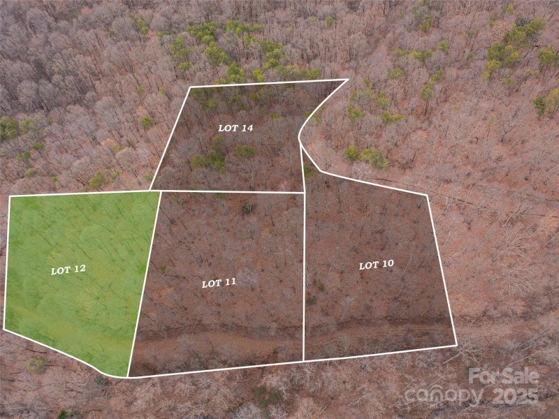 Property image 2 at 99999 Lovebird Lane, Candler, NC 28716