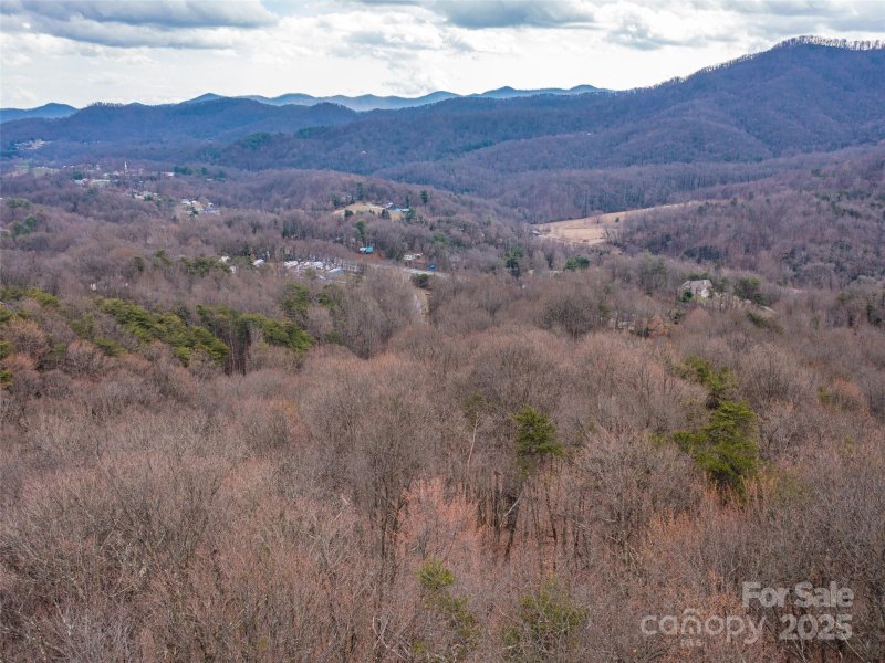 Property image 3 at 99999 Lovebird Lane, Candler, NC 28716