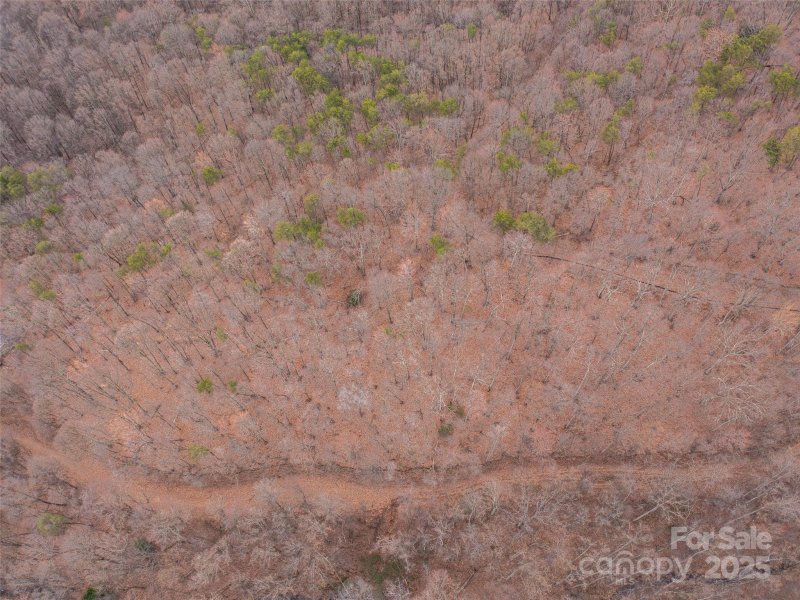 Property image 4 at 99999 Lovebird Lane, Candler, NC 28716