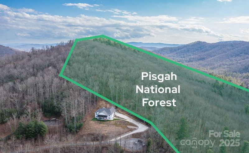 Property image 3 at 331 Judson Ridge Road, Arden, NC 28704