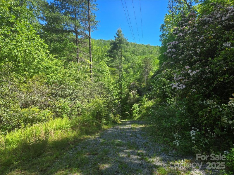 Property image 2 of 218 South Kimiko Lane in Balsam Grove Estates, Balsam Grove, NC 28708