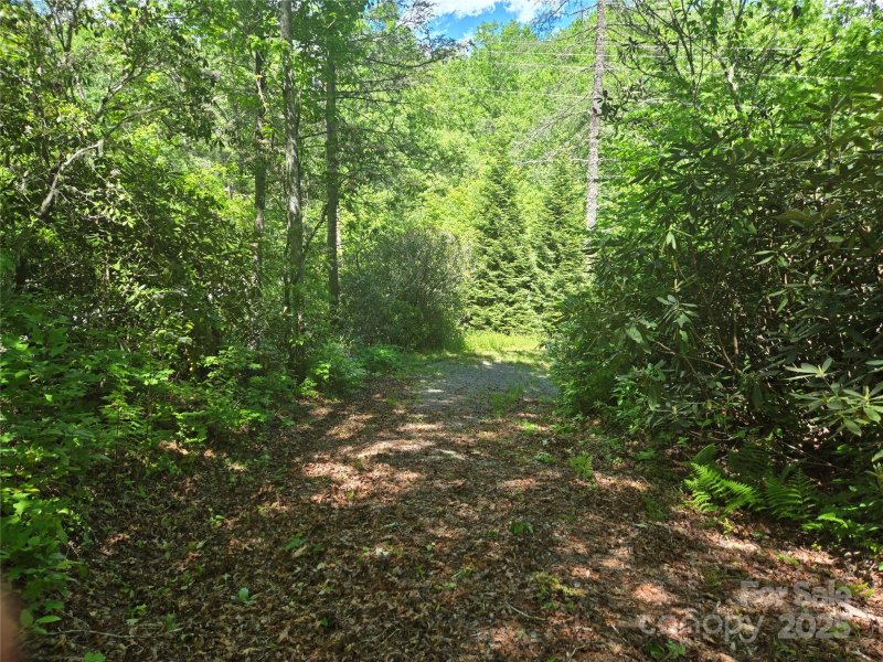 Property image 3 of 218 South Kimiko Lane in Balsam Grove Estates, Balsam Grove, NC 28708