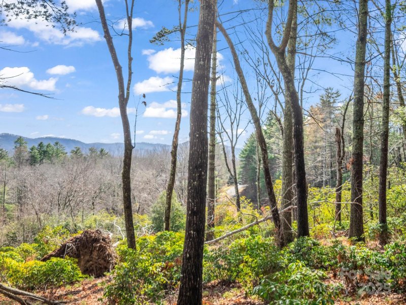 Property image 2 at 00 Winterberry Drive, Hendersonville, NC 28739