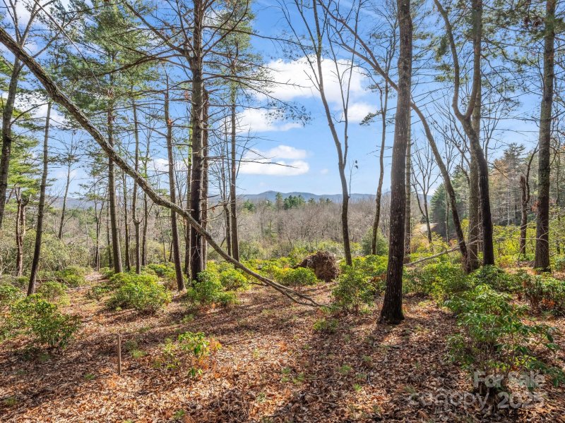 Property image 3 at 00 Winterberry Drive, Hendersonville, NC 28739