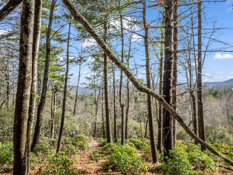 Property image 4 at 00 Winterberry Drive, Hendersonville, NC 28739