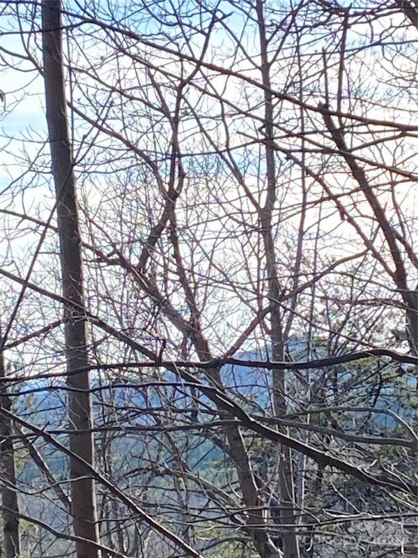 Property image 3 of 21 22 Meditation Ridge Ridge in Hidden Lake, Nebo, NC 28761