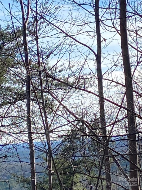 Property image 4 of 21 22 Meditation Ridge Ridge in Hidden Lake, Nebo, NC 28761