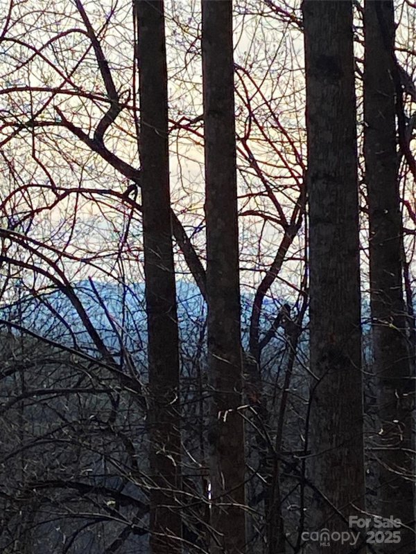 Property image 5 of 21 22 Meditation Ridge Ridge in Hidden Lake, Nebo, NC 28761