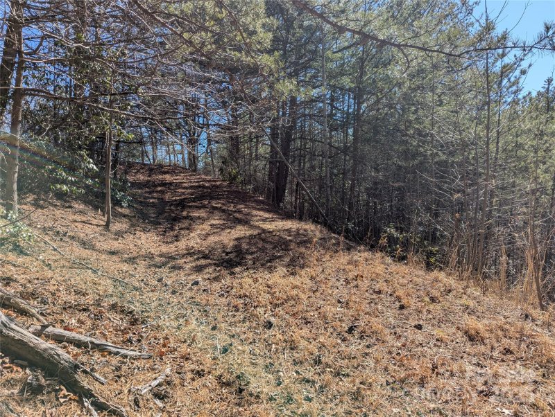 Property image 2 of 94 Trillium Lane in Creston, Black Mountain, NC 28711