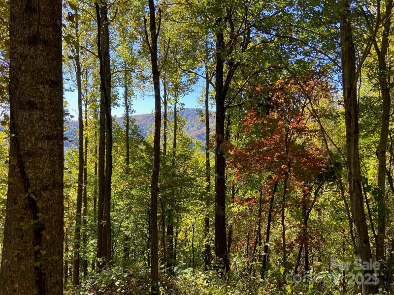 Property image 2 of 501 Warbler Lane in Creston, Black Mountain, NC 28711