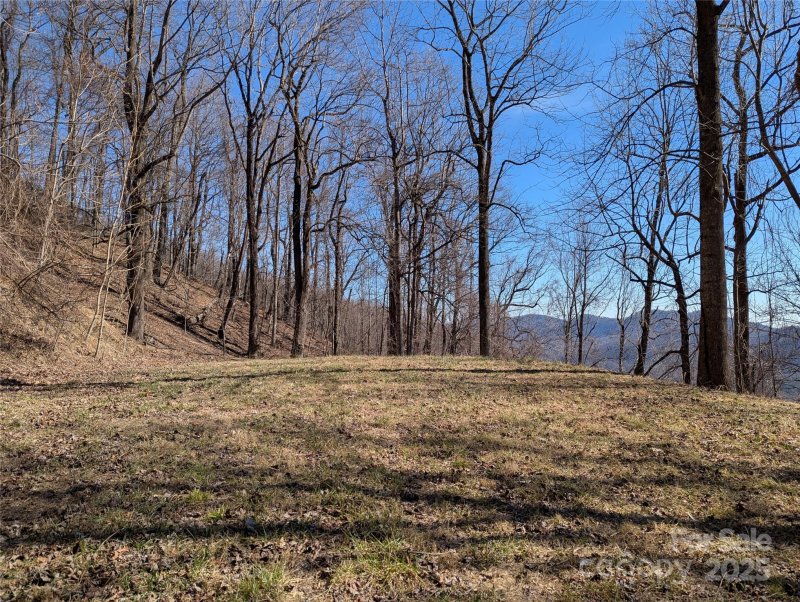 Property image 5 of 501 Warbler Lane in Creston, Black Mountain, NC 28711
