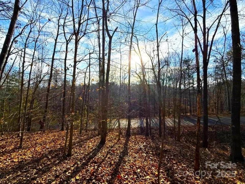 Property image 5 at Lot 47 Dublin Lane, Columbus, NC 28722