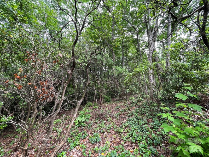 Property image 2 at 33 Woodglen Court, Flat Rock, NC 28731