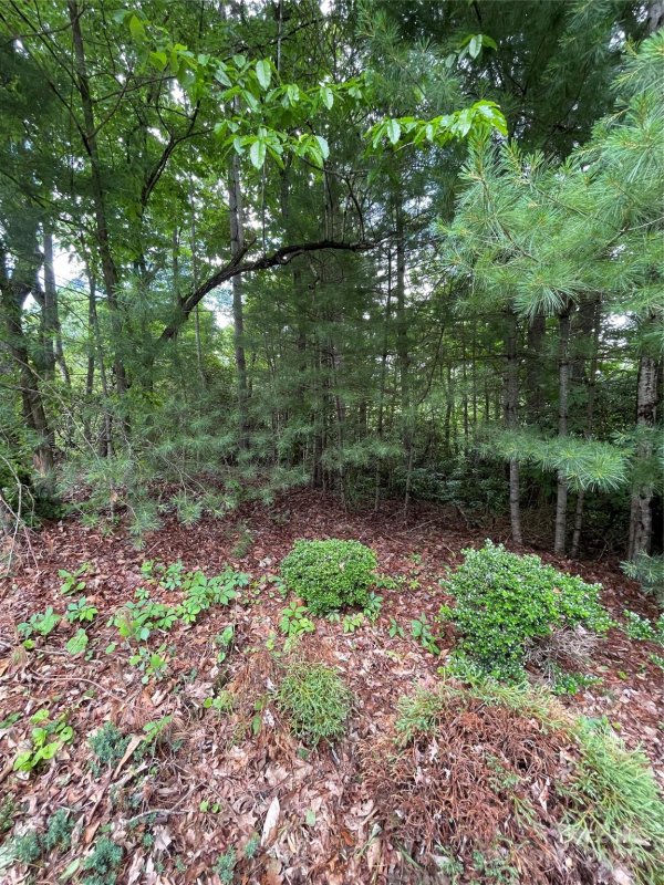 Property image 3 at 33 Woodglen Court, Flat Rock, NC 28731