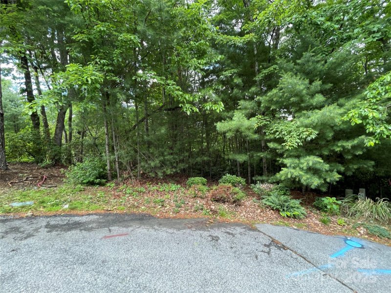 Property image 5 at 33 Woodglen Court, Flat Rock, NC 28731