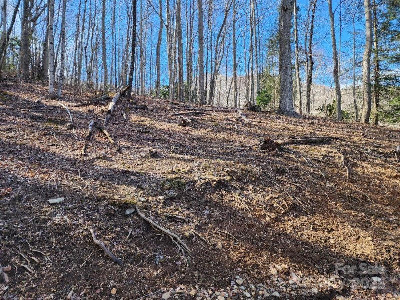 Celo Mountain Lands, Burnsville community